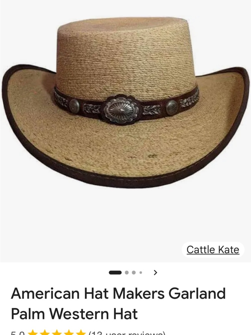 American Hatmakers Garland Palm Western Hat w Concho trim - Picture 5 of 13